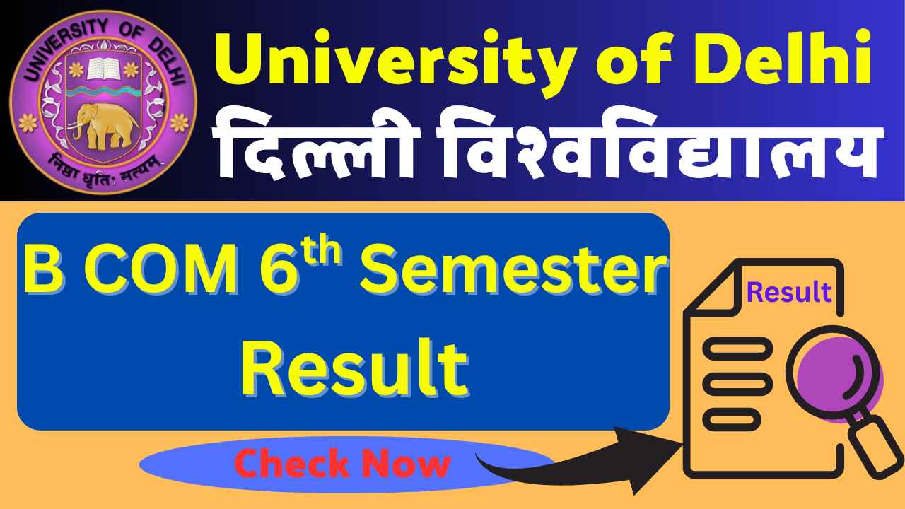 DU B COM 6th Semester Result