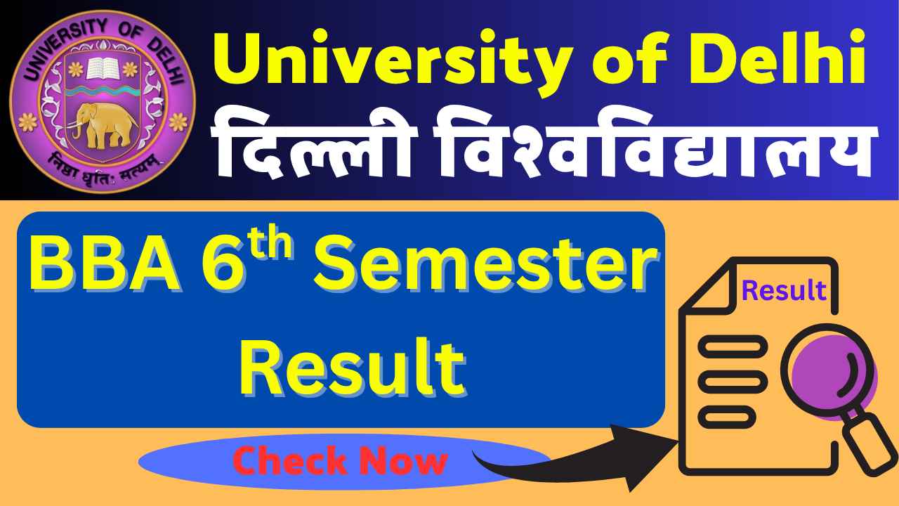 DU BBA 6th Semester Result